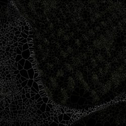 Determined - Stephane Poirier