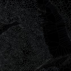 HA-ORG donation - $1 Backer